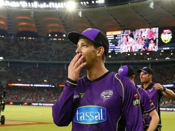 Tim Paine named Adelaide Strikers head coach