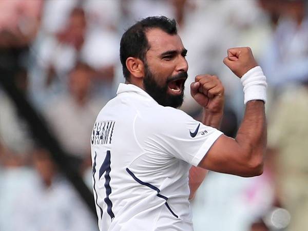 Mohammed Shami will make a return during India vs New Zealand Tests