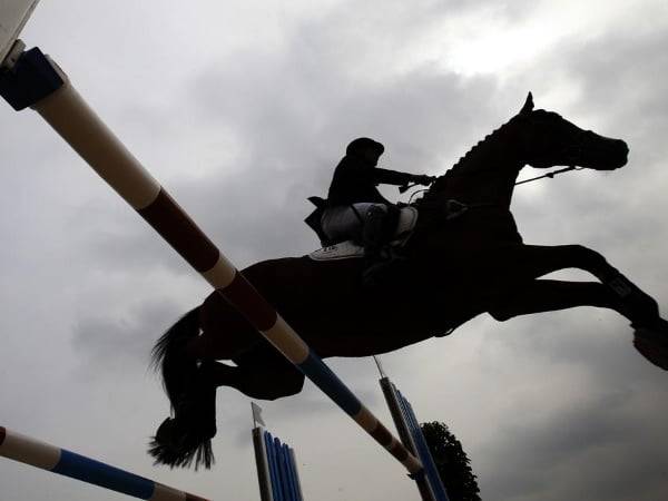 Delhi HC appoints six-member panel to investigate Equestrian Sport