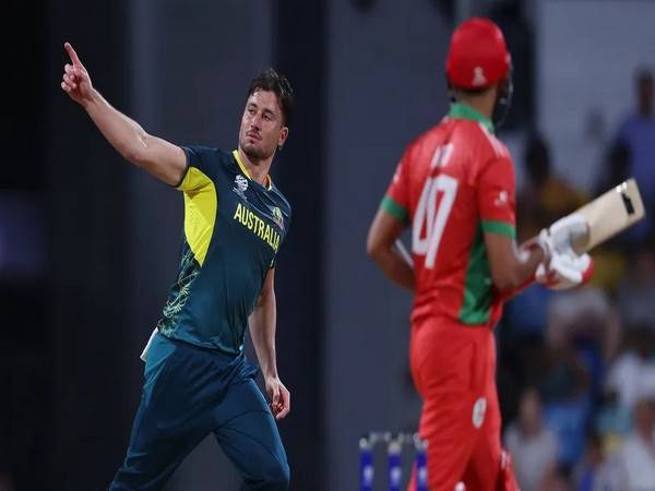 Marcus Stoinis (Photo: cricket.co.au)