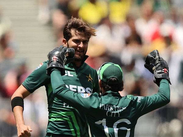 Shaheen Afridi (Photo: ICC)