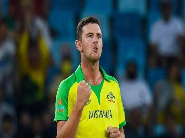 Josh Hazlewood (Photo: ICC)