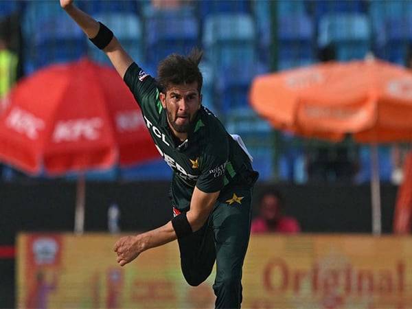 Shaheen Afridi (Photo: ICC)